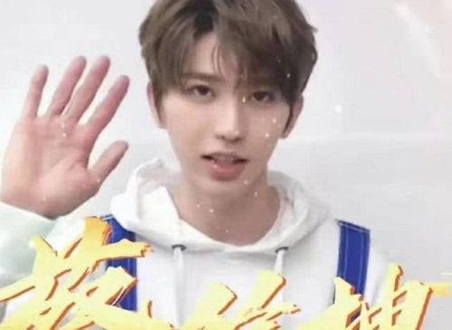 头小脸小的男明星有谁,盘点头小脸小的男明星风采