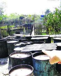 地沟油的资料,从来源到危害的全面剖析